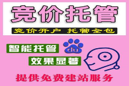 SEM推广优化技巧：实战案例精选